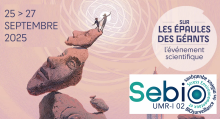 SLEDG-ok-2025