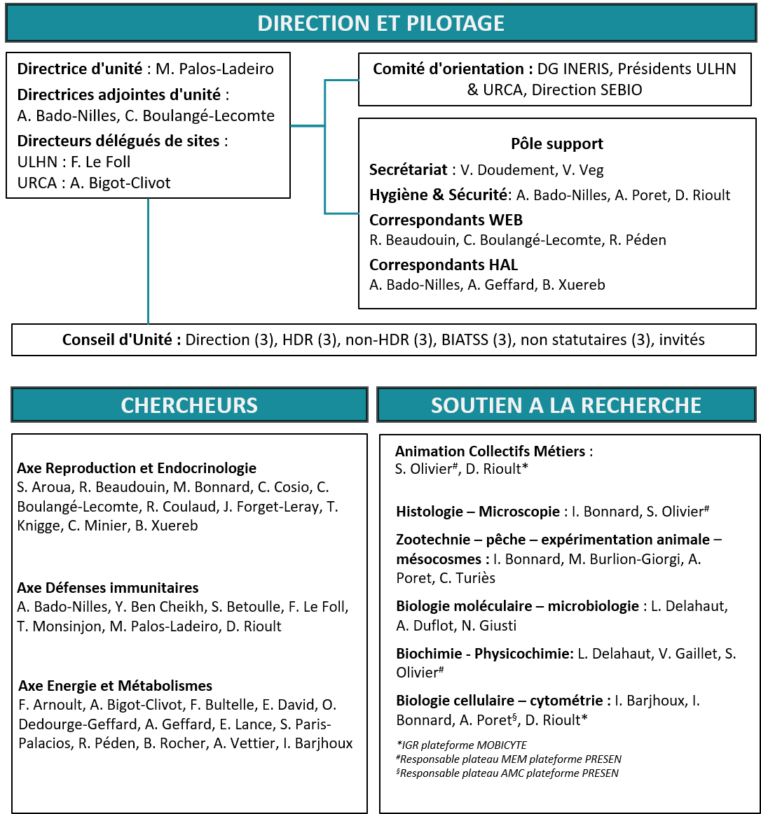 Organigramme SEBIO-2024