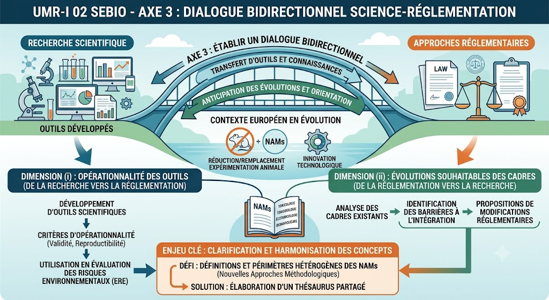Axe3 schema