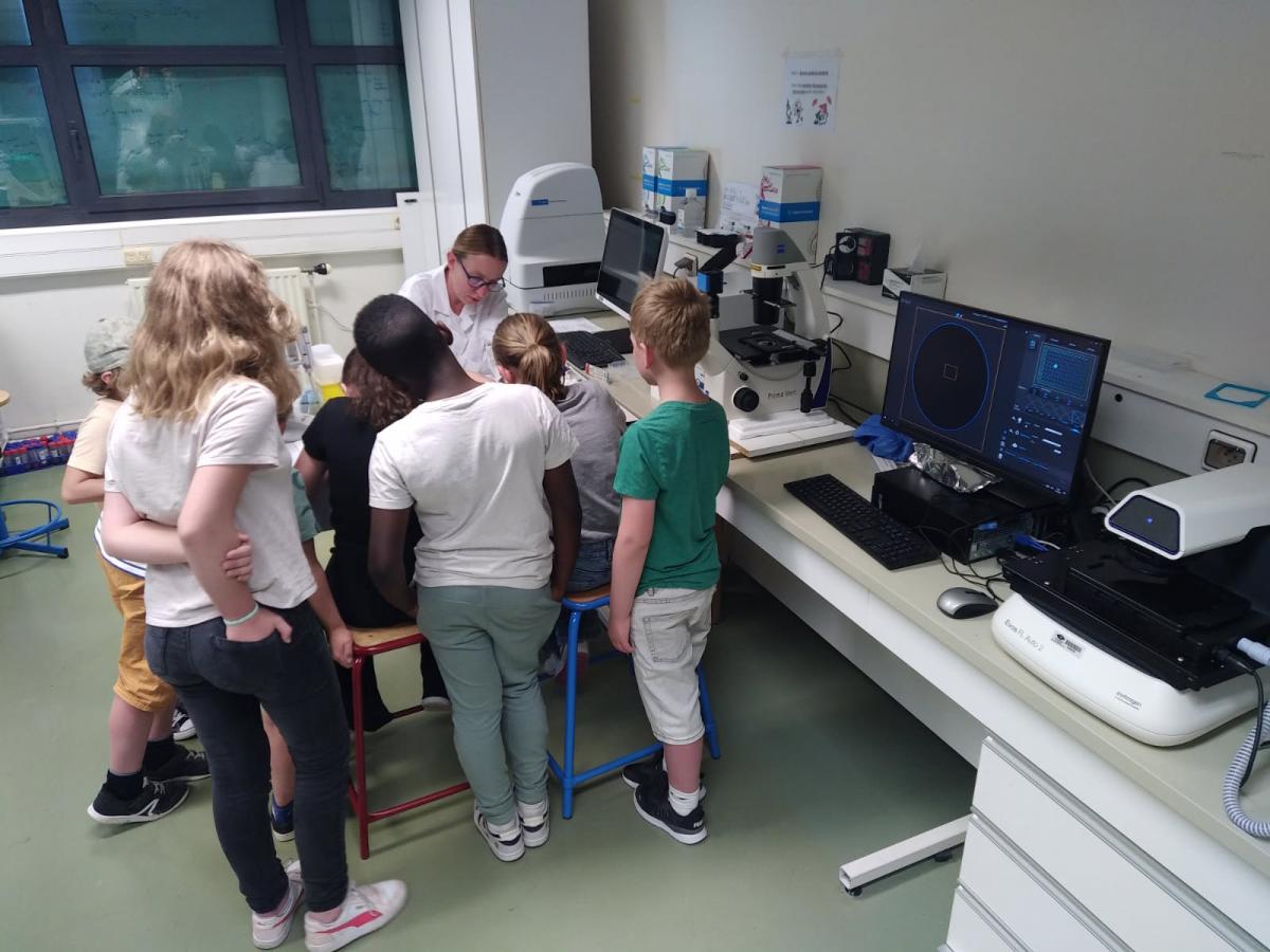 CEF2025-3